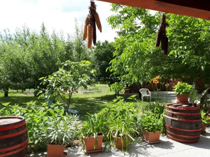Fehér Rózsa Apartman 1 - 4